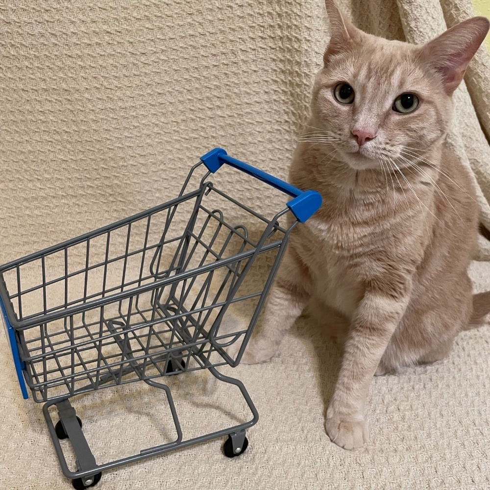 18” American girl Walmart shopping cart
